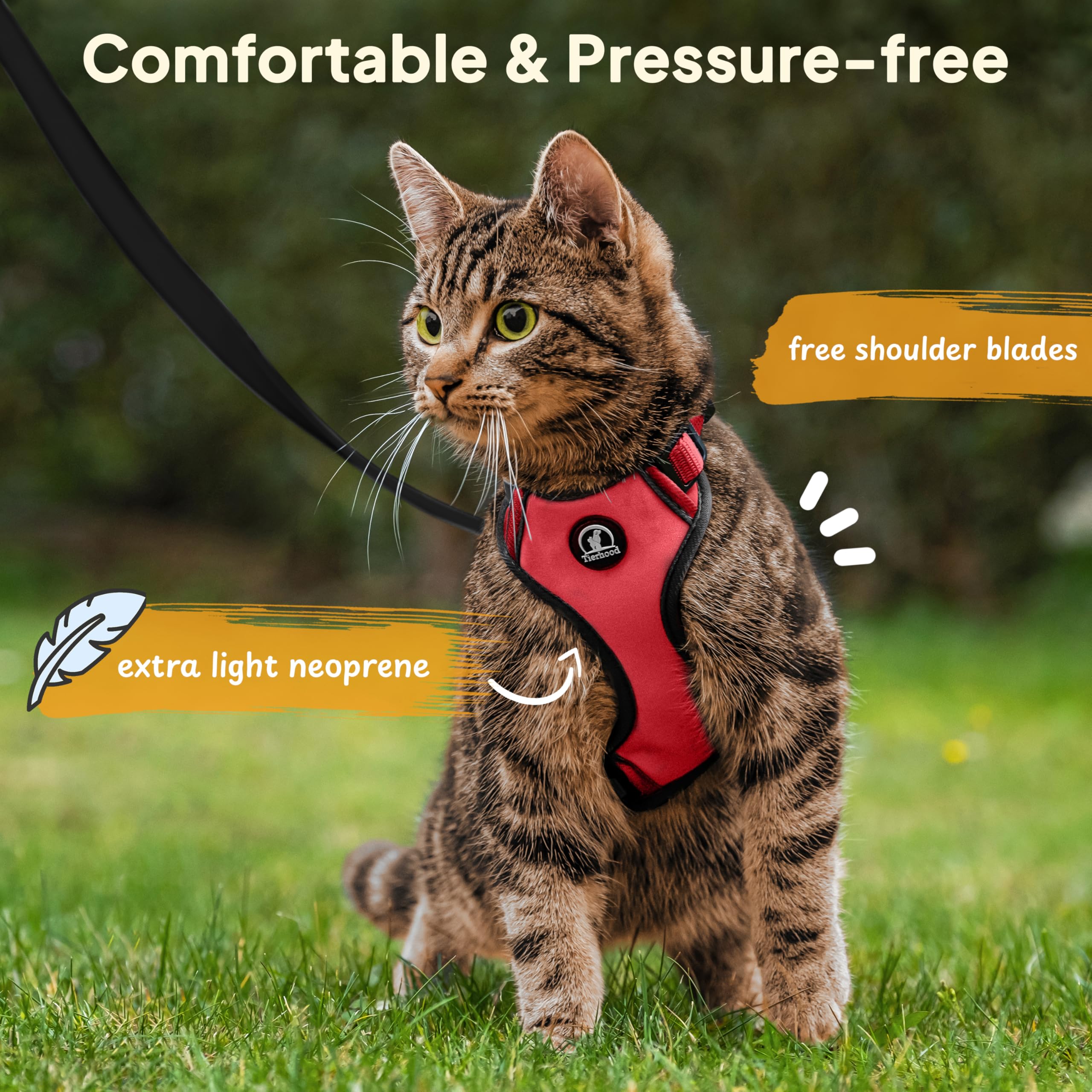 Tierhood - Cat Harness and Lead Set - Escape Proof Kitten Harness - Adjustable Cat Harness - Red, Size M, M (23-39cm) (36-51cm) - Image 2