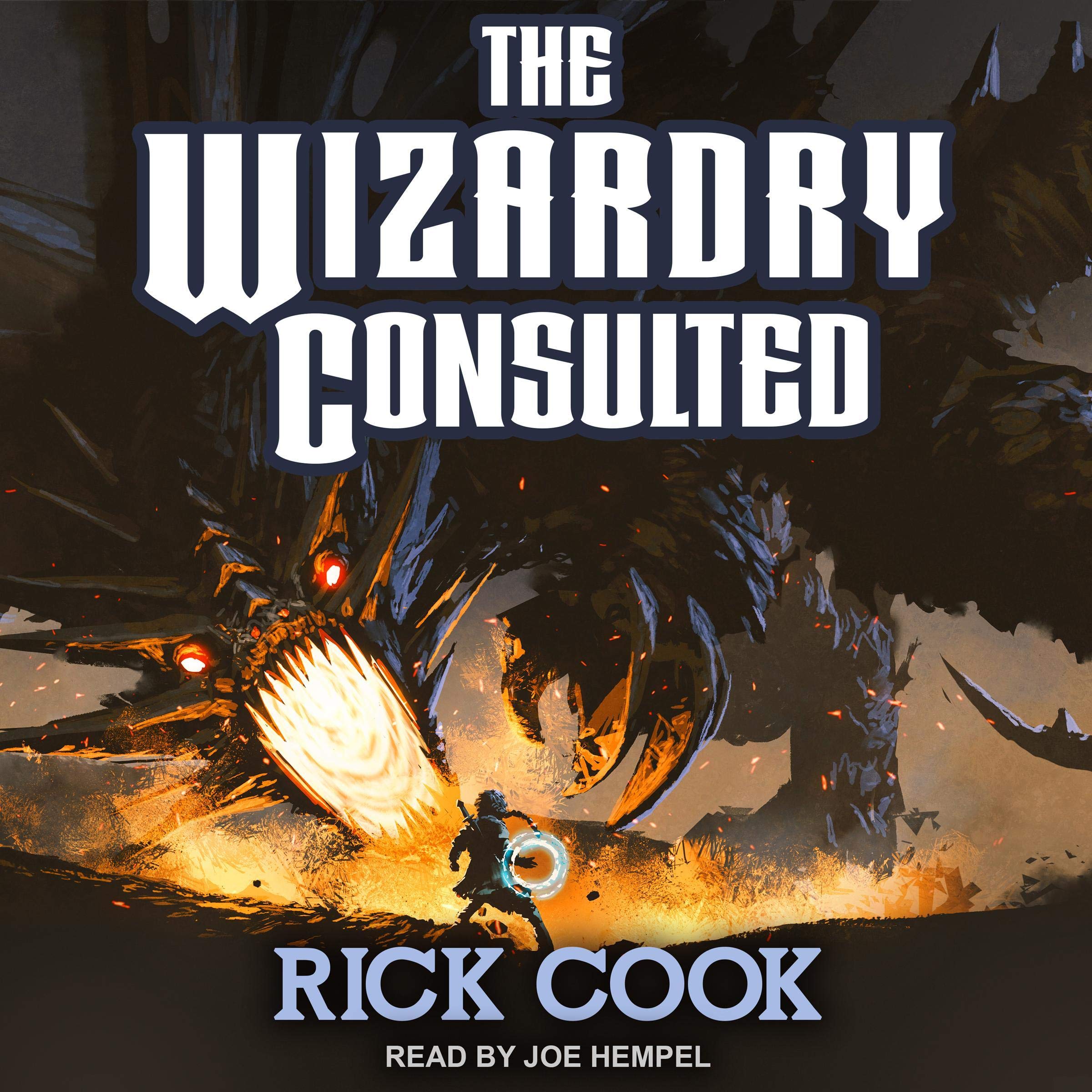 Cover art for The Wizardry Consulted