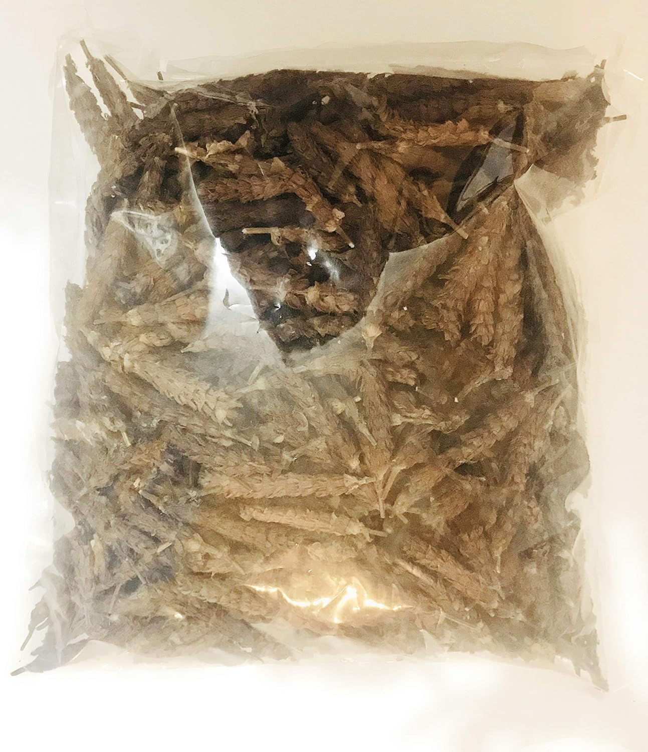Dried Fruit Spike (Self Heal - Xia Ku Cao) 夏枯草 1 LB