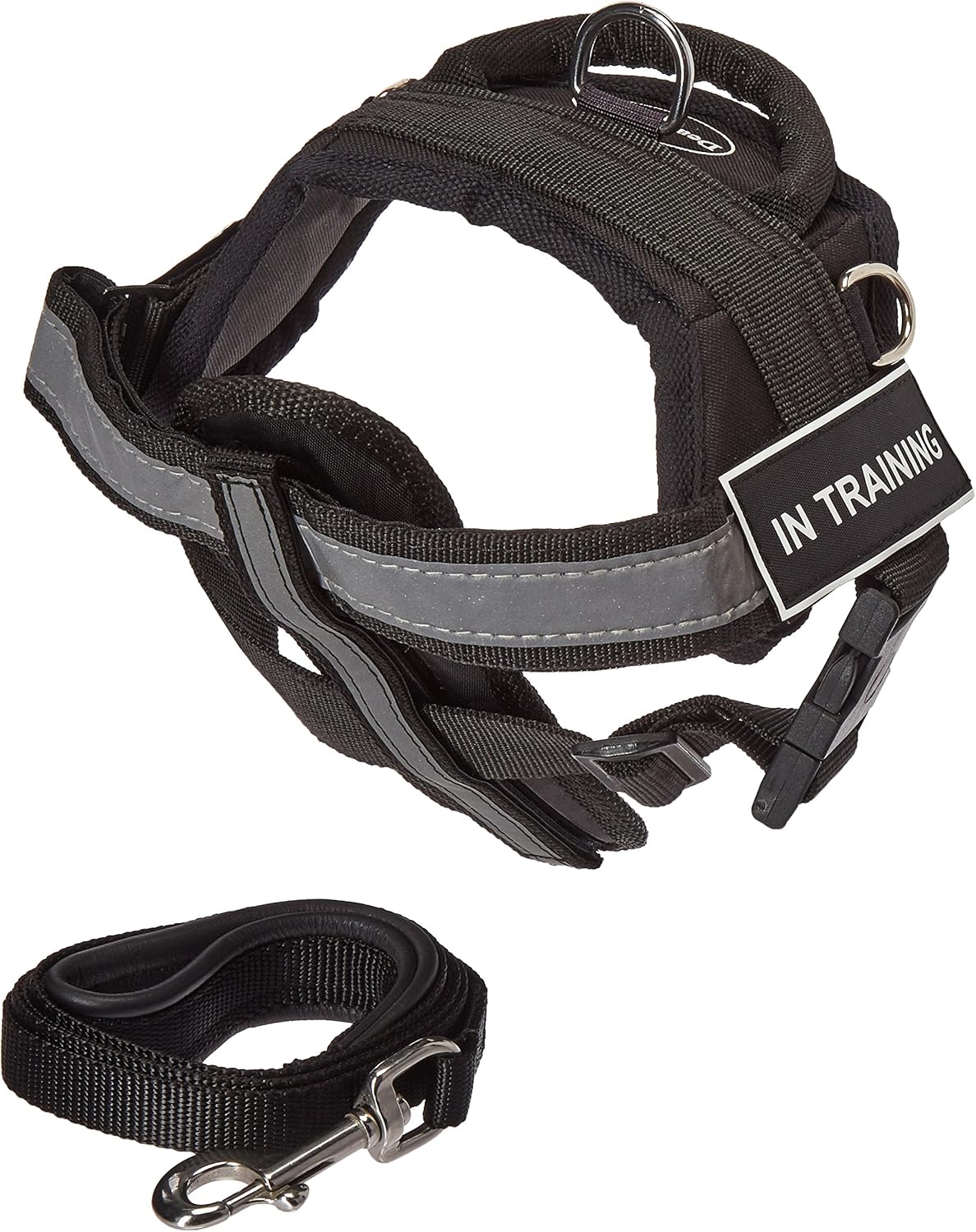 Dean & Tyler 21 by 26-Inch In Training Dog Harness with Padded Puppy Leash, X-Small