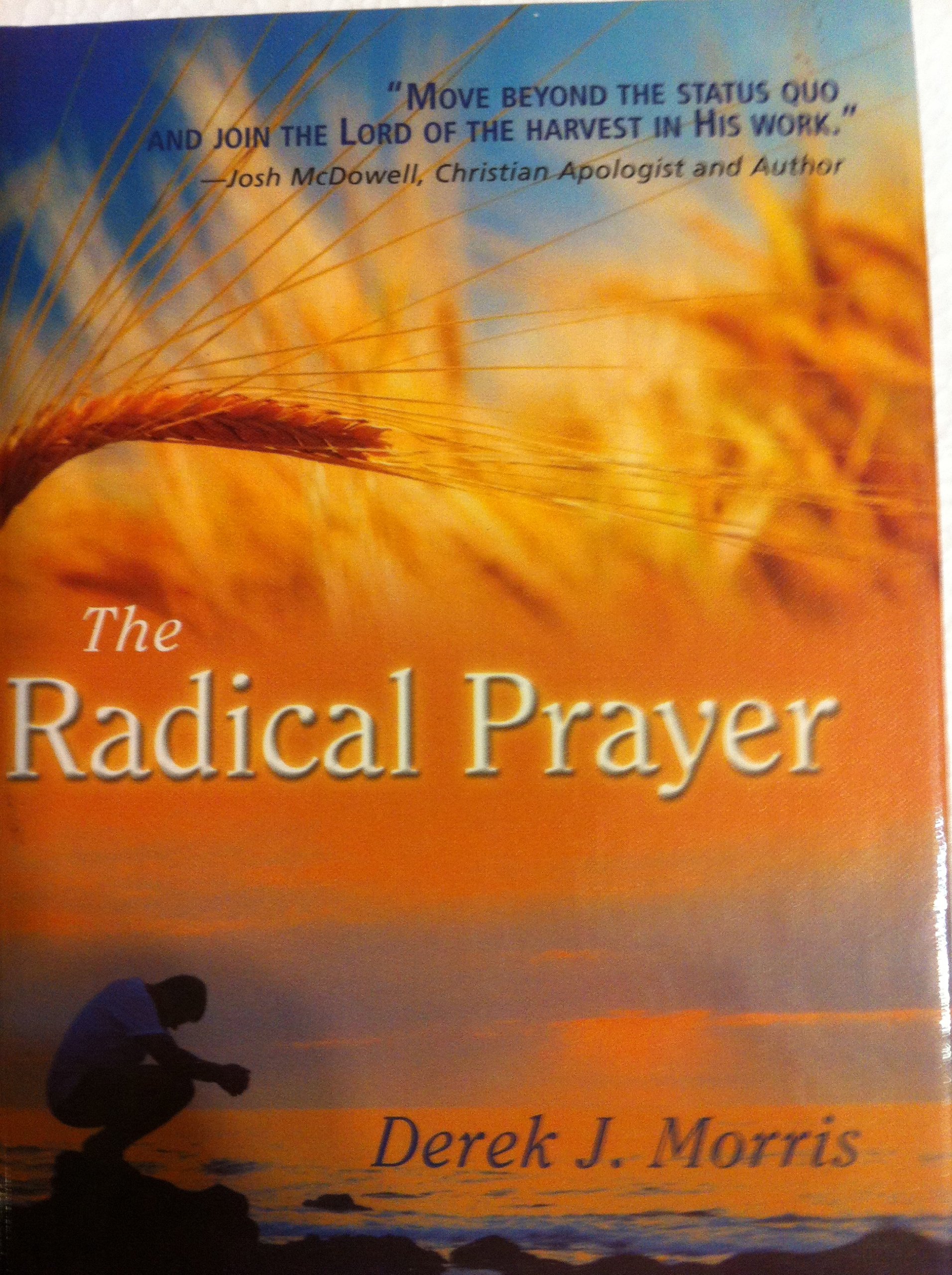 The Radical Prayer: Will You Respond to the Appeal of Jesus? (English, Mandarin Chinese, Korean, Spanish, Portuguese and Russian Edition)