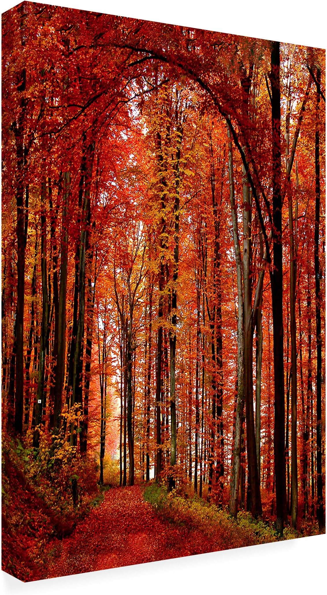 Trademark ART Philippe Sainte-Laudy The Red Way Canvas Art