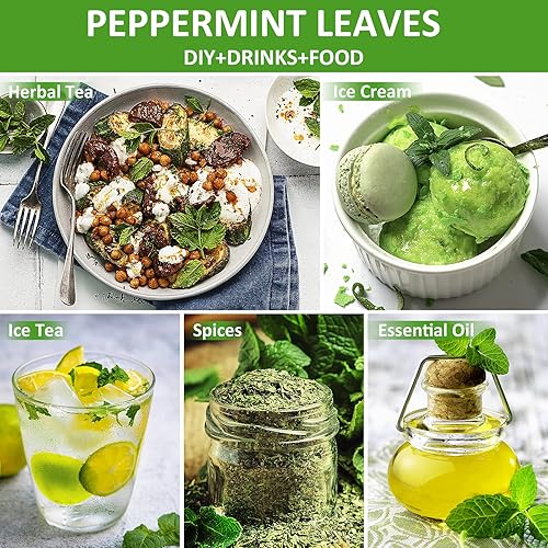Miniatura 4 de Té de menta, hoja suelta de menta seca, hojas de menta, té de hierbas de hierbabuena, fuerte y fresco, 100% natural crudo, 2.1 onzas