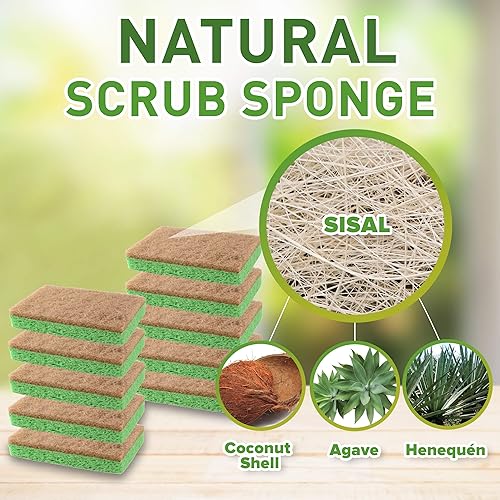 Miniatura 2 de SCRUBIT Paquete de 24 esponjas naturales  Esponjas naturales biodegradables compostables de celulosa y coco para platos, esponja de cocina ecológica