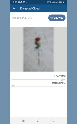 Encrypted Cloud