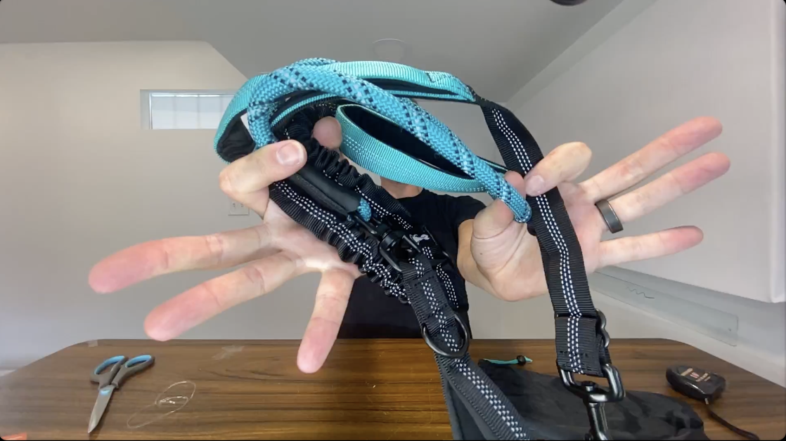 BEST Pet Leash? | SparklyPets Double Dog Leash for 2 Dogs