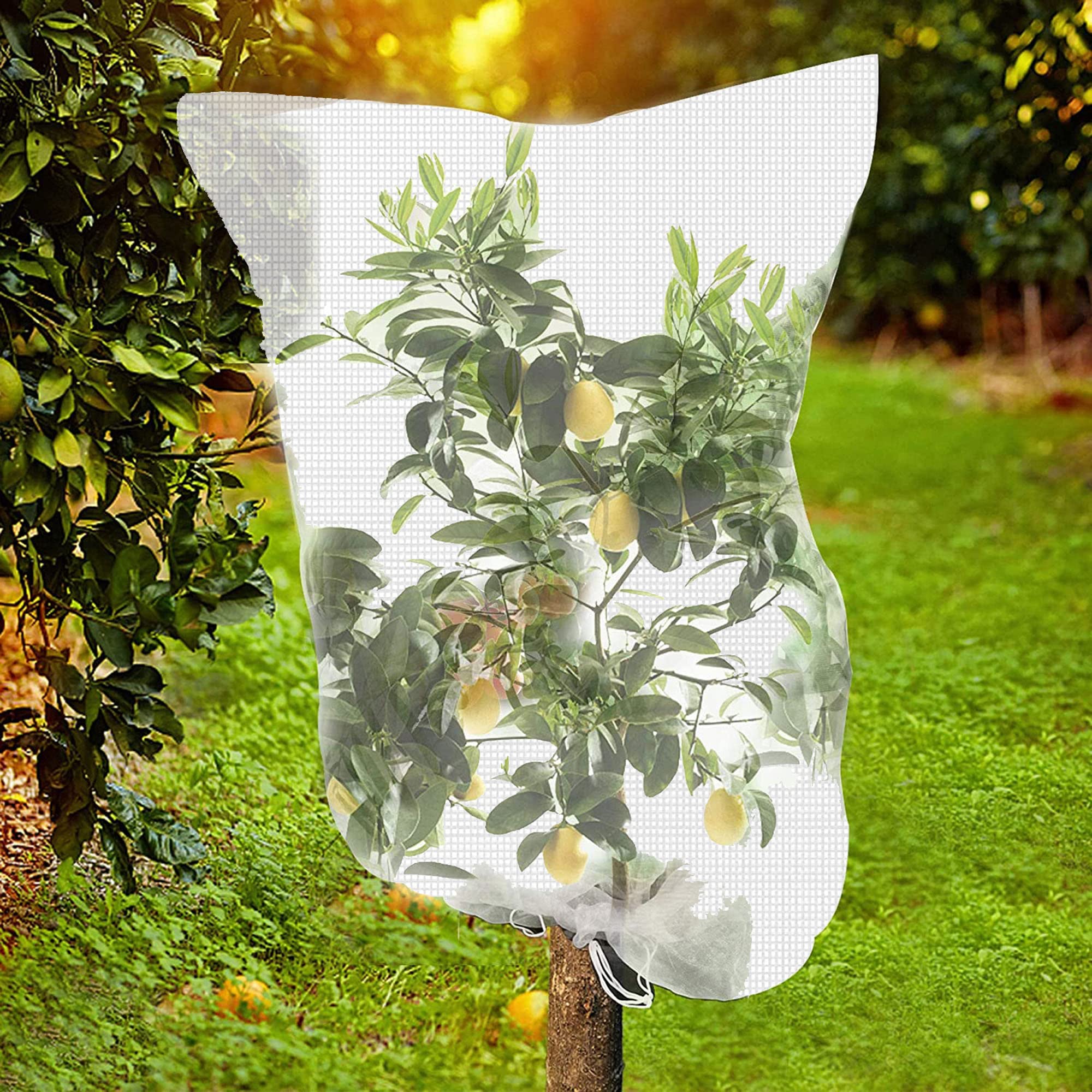 Red Para Insectos Para Verduras Bolsas Grandes De Red Para árboles