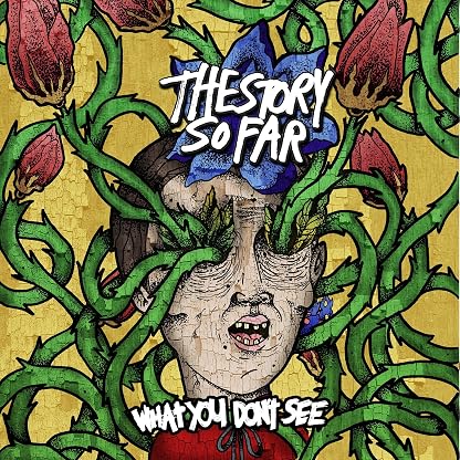 What You Don't See por The Story So Far — capa do álbum
