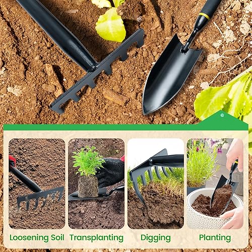 Miniatura 7 de Juego de herramientas de jardín de 2 piezas, herramientas manuales de jardinería resistentes con paleta de jardín y rastrillo de jardín de 6