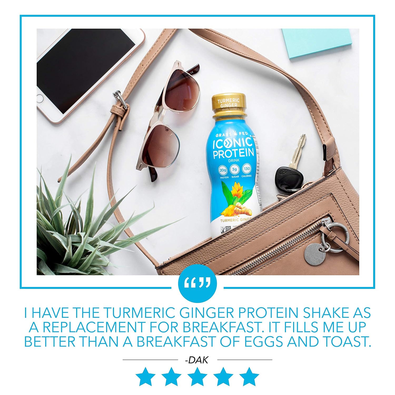 Iconic Protein Drinks, Turmeric Ginger (12 Pack) | Low Calorie, High Protein Shakes | Grass Fed, Lactose Free, Gluten Free, Kosher | Low Carb Snack & Healthy Breakfast Drink | Keto Friendly