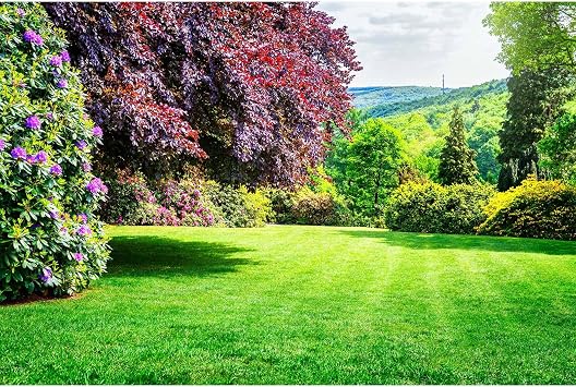 Park Backdrop City Garden Park Blooming Rhododendron Fresh Green Lawn Copper Beech Tree Photography Background Nature Springtime Landscape Backdrop for Travel Vacation Hiking Portrait Props 5x3ft