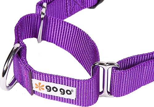 Vista 96 de GoGo Pet Products GoGo - Collar de perro Martingala de 3/8 pulgadas, talla XS, color naranja