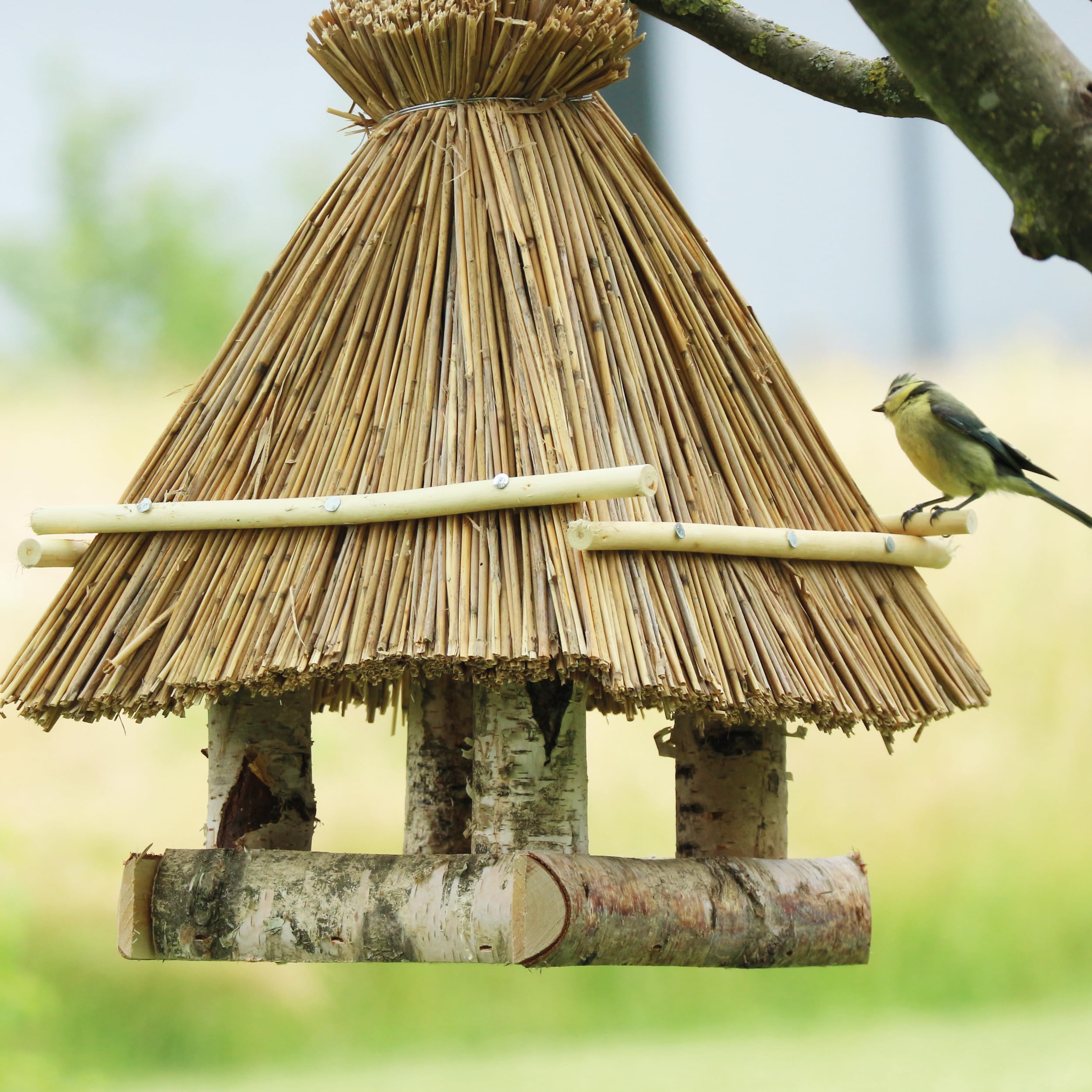 HABAU Vogelhaus aus Birke mit Strohdach, 32 x 32 x 50 cm | unbehandelt und handgefertigt, rustikales Futterhaus zum Aufhängen
