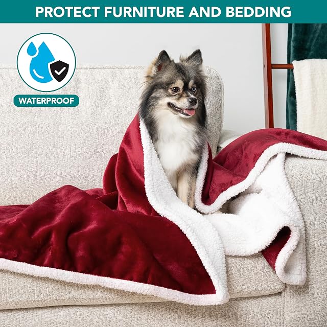 Foto 7 de 8 de PetAmi Manta Impermeable para Perros medianos, Cachorros, Gatos pequeños
