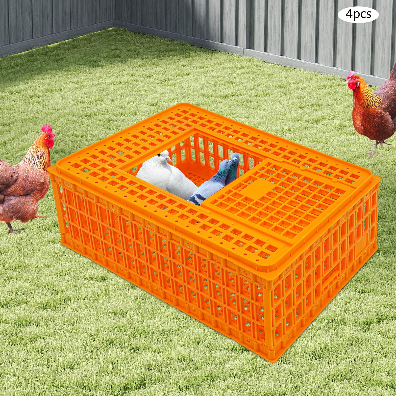 4 Stück Geflügel Tragetasche, Huhn-Transportkäfig mit Schiebetür und Transportgriffen, Korb Box für Geflügel, Huhn, Vogel, Ente, Gans, 200kg Tragfähigkeit, 77 * 55 * 27 cm, Orange