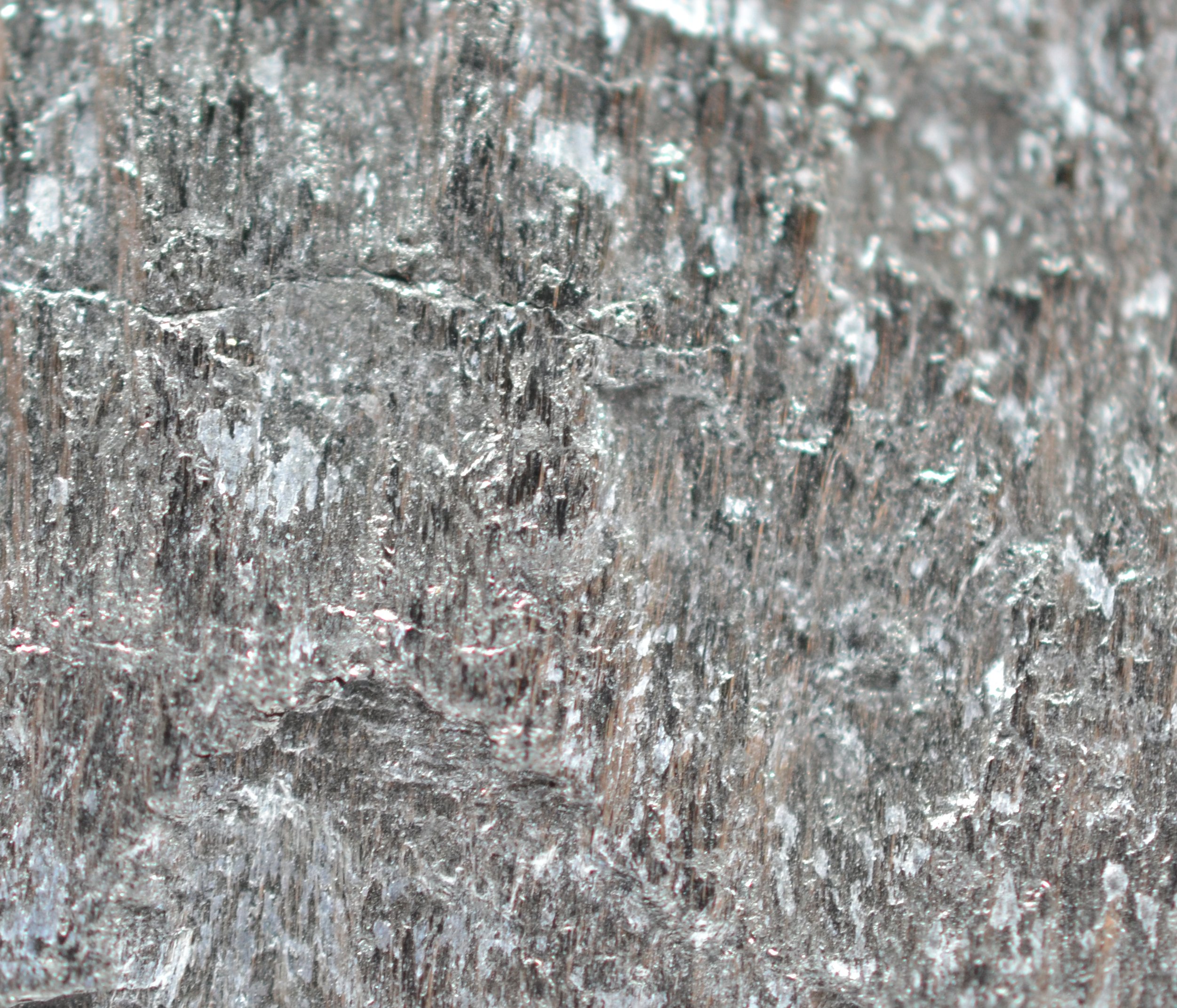 EISCO Anthracite Coal Specimen (Metamorphic Rock), Approx. 1