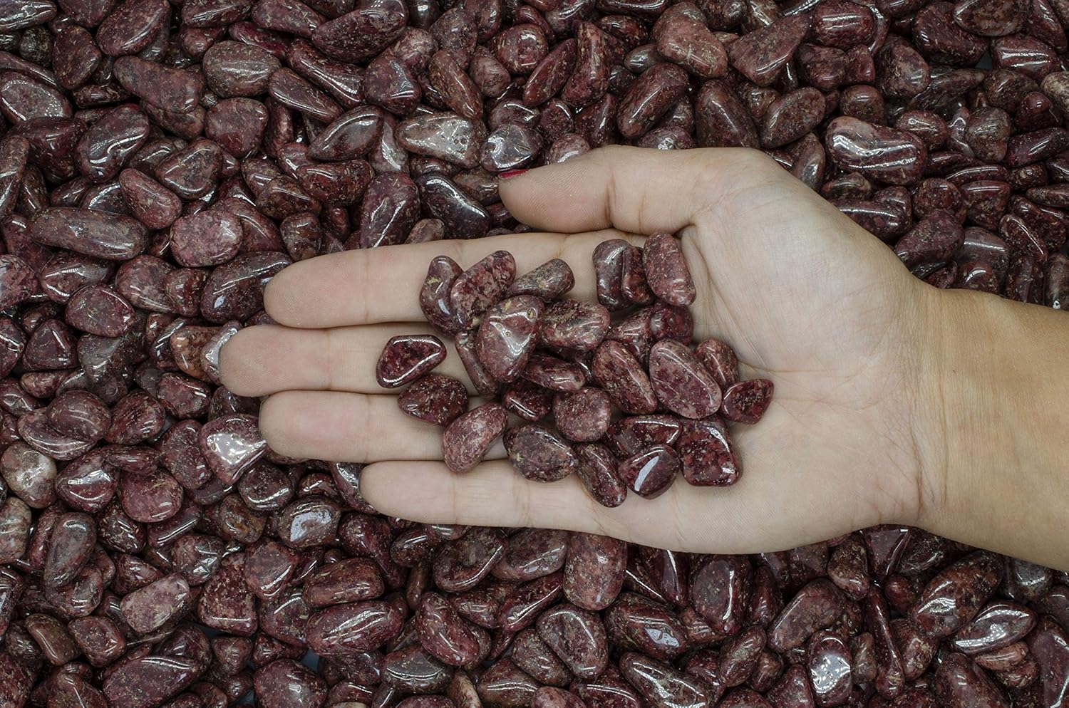 Fantasia Materials: RARE Assorted Tumbled Stones from Africa - Bulk Polished Gemstone Rock Supplies for Crafts, Reiki, Crystal Healing and More! (Size #5)