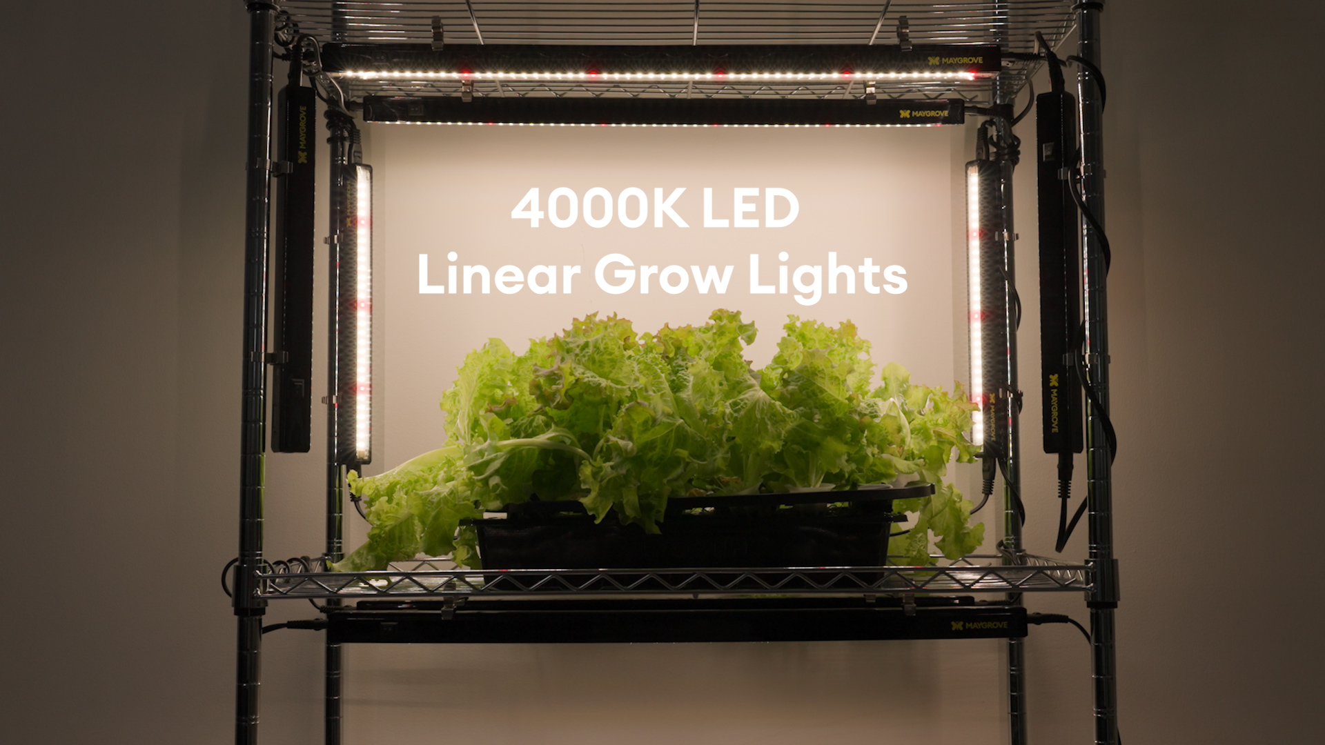 りっぴー　ライトケープ×2、ハーブ×5 Amazon.com: Maygrove T5 Grow Lights for Indoor Plants 2FT, Red