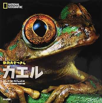 91CFROn9jvL._AC_UF350,