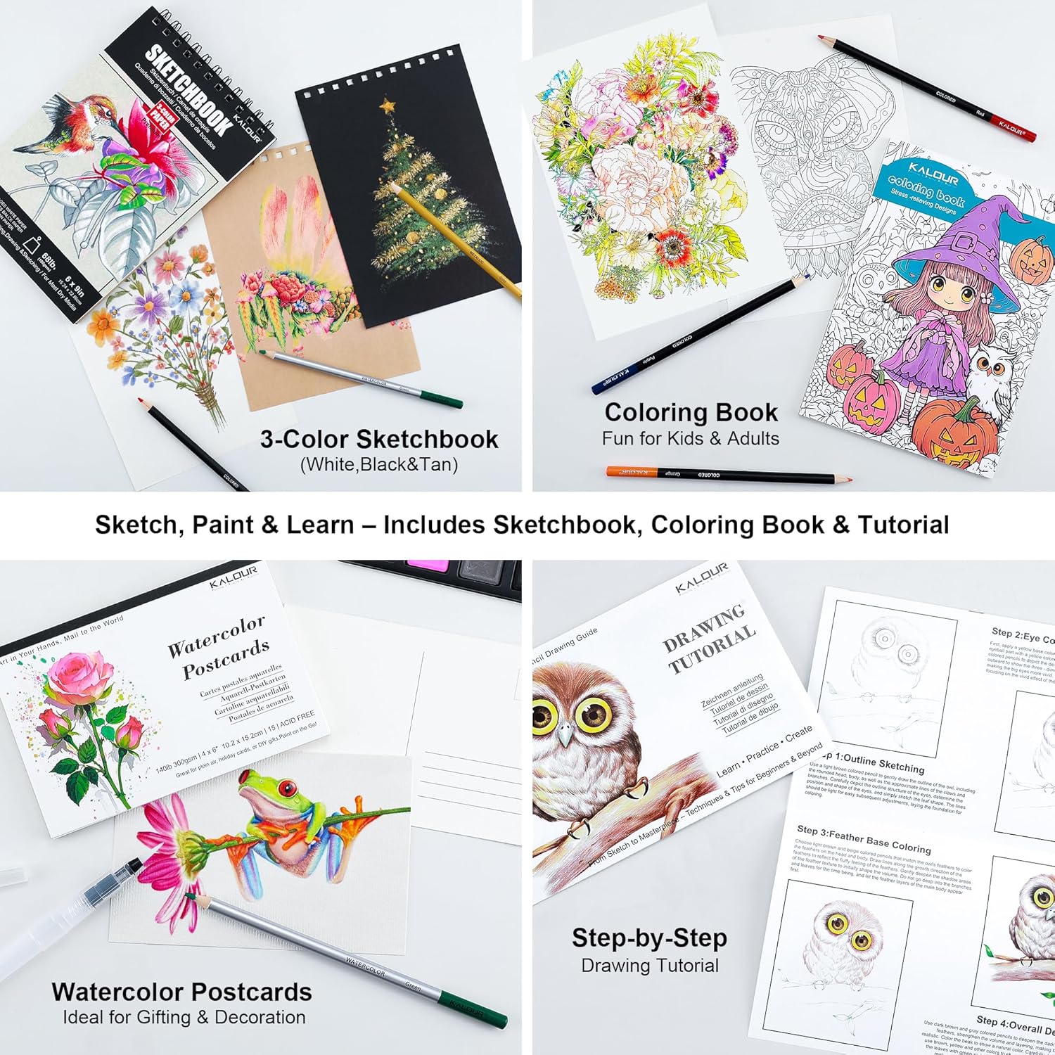 KALOUR 206 Drawing Set Sketching Kit,Art Supplies with 3-color Sketchbook & Coloring Paper,Include Tutorial, Colored, Graphite, Charcoal, Watercolor & Metallic Pencil,for Artists Adults Teens Beginner