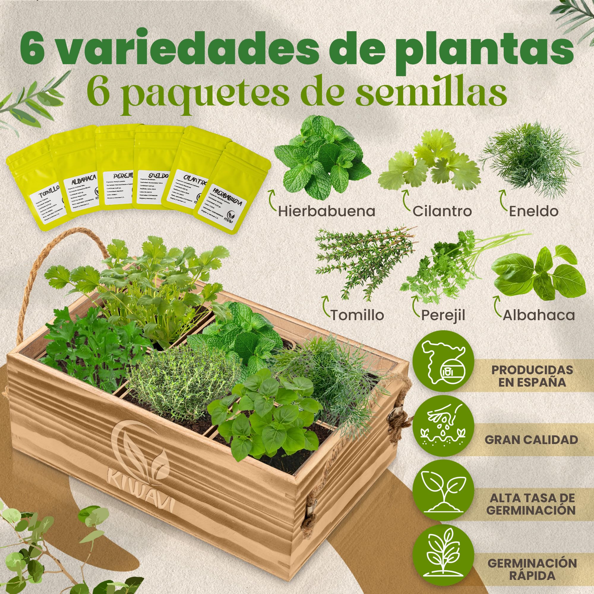 Mini Huerto Urbano para Interior - Kit de Cultivo de Plantas Aromáticas (Albahaca, Perejil, Cilantro, Hierbabuena, Eneldo, Tomillo) | Huerto en Casa con Semillas