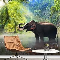 Vista 13 de SIGNWIN Adhesivo mural removible para pared, niebla y niebla, montaña, ladera, bosque, naturaleza, desierto, fotografía, realismo, paisaje