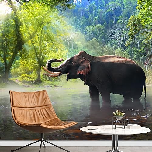 Miniatura 13 de SIGNWIN Adhesivo mural removible para pared, niebla y niebla, montaña, ladera, bosque, naturaleza, desierto, fotografía, realismo, paisaje