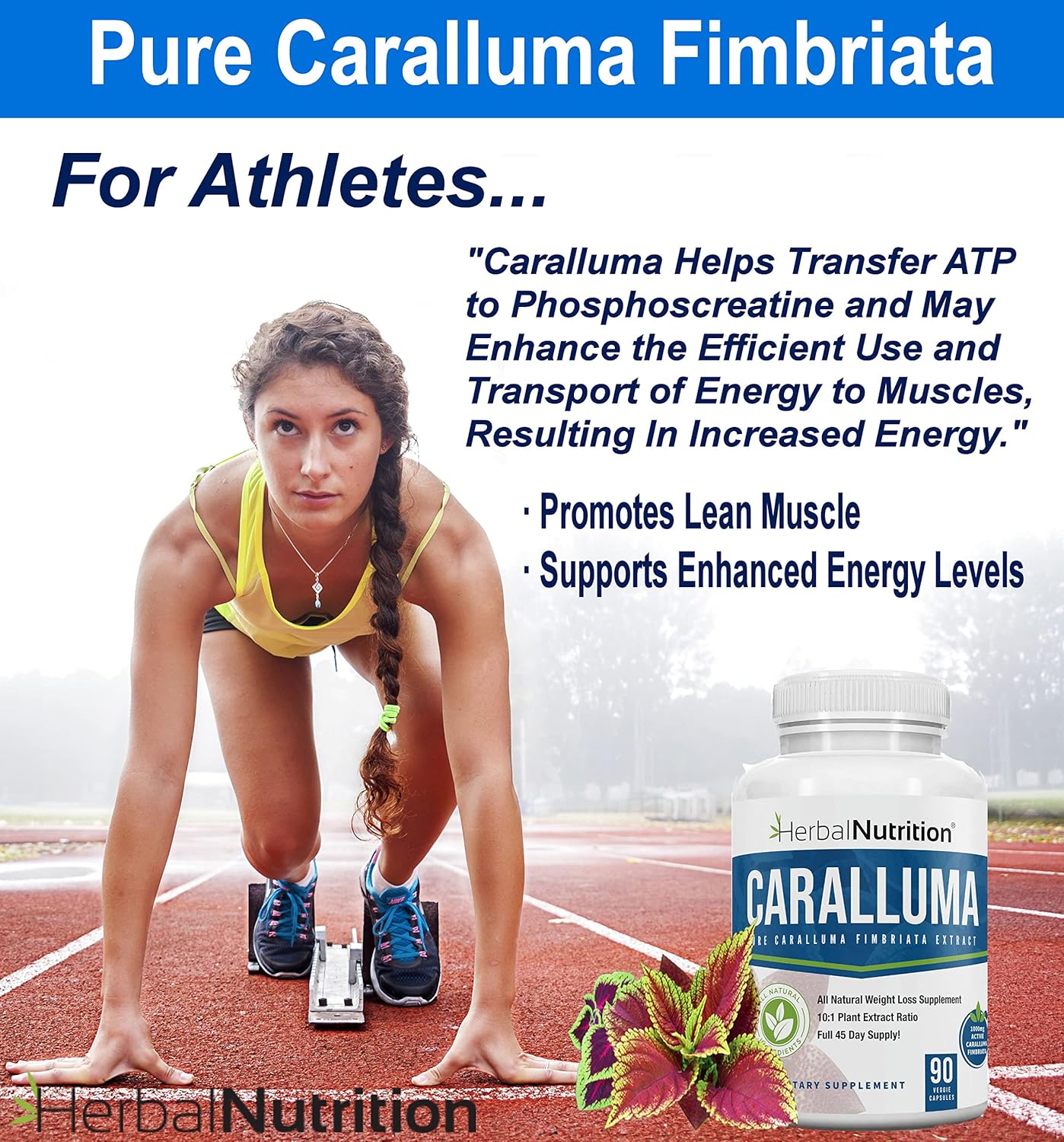 Herbal Nutrition Caralluma Fimbriata 180 Capsules Two Bottle Pack Maximum Strength 10:1 Extract Ratio 1200mg All-Natural Diet, Energy, Endurance and Weight Management Supplement