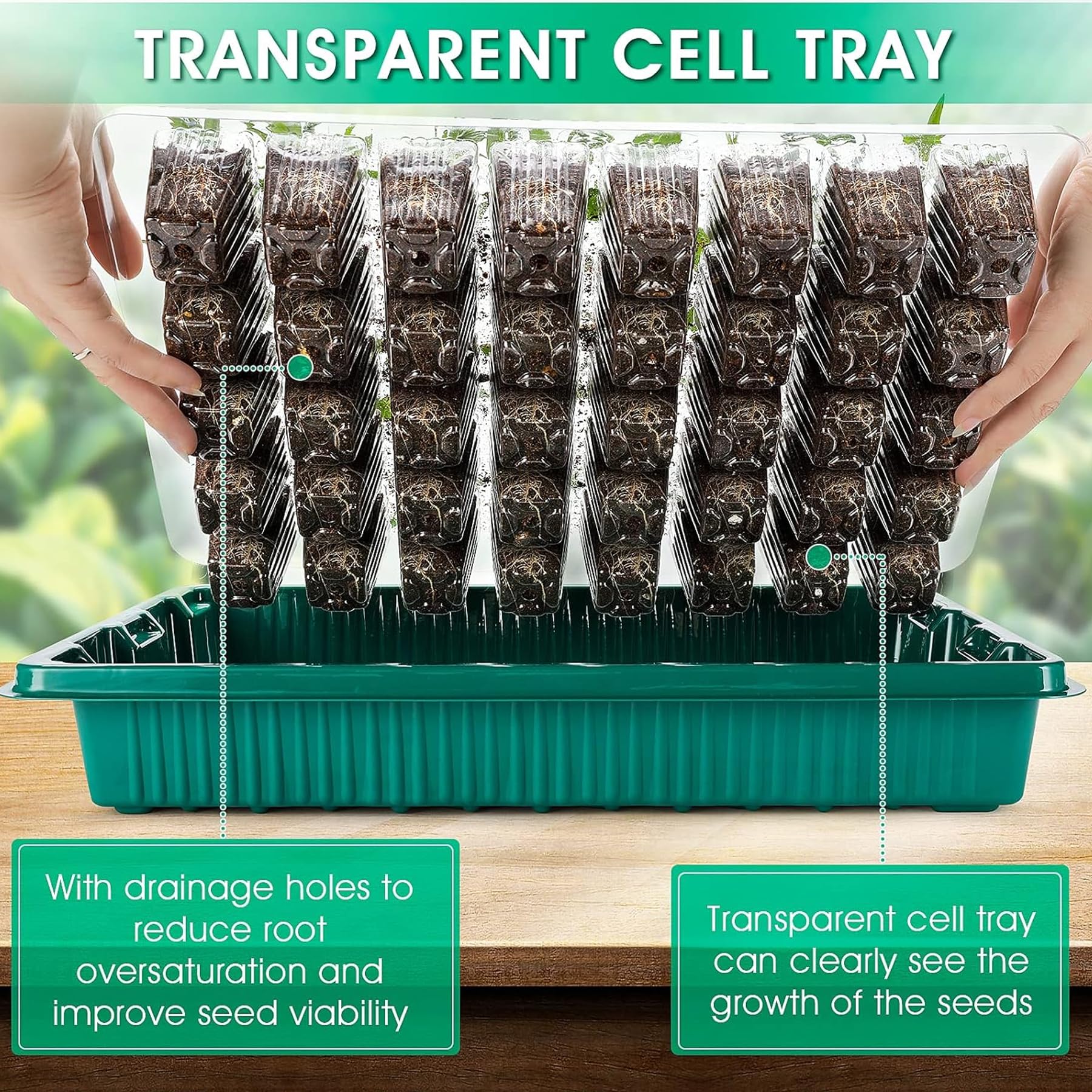 VEEKAY Bandejas de Semilleros,2 Piezas 80 Células Invernadero Bandejas,con Luces para Plantas,Bandejas de Semilleros de Germinacion,con Luminosidad Regulable y Regulador De Tiempo,Humedad Ajustable