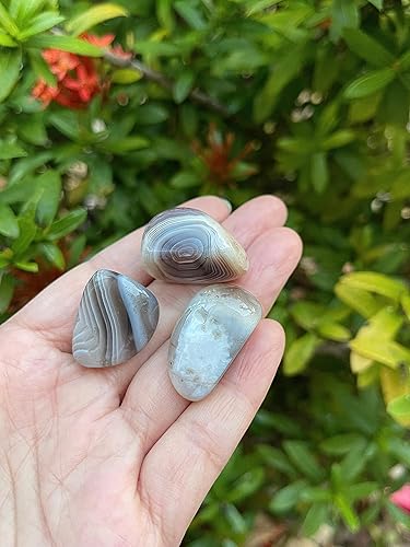 Miniatura 334 de GAF TREASURES Piedras pulidas de ojo de tigre de 1/2 libra, piedra preciosa natural pulida, cristales curativos de ojo de tigre (ojo de tigre)