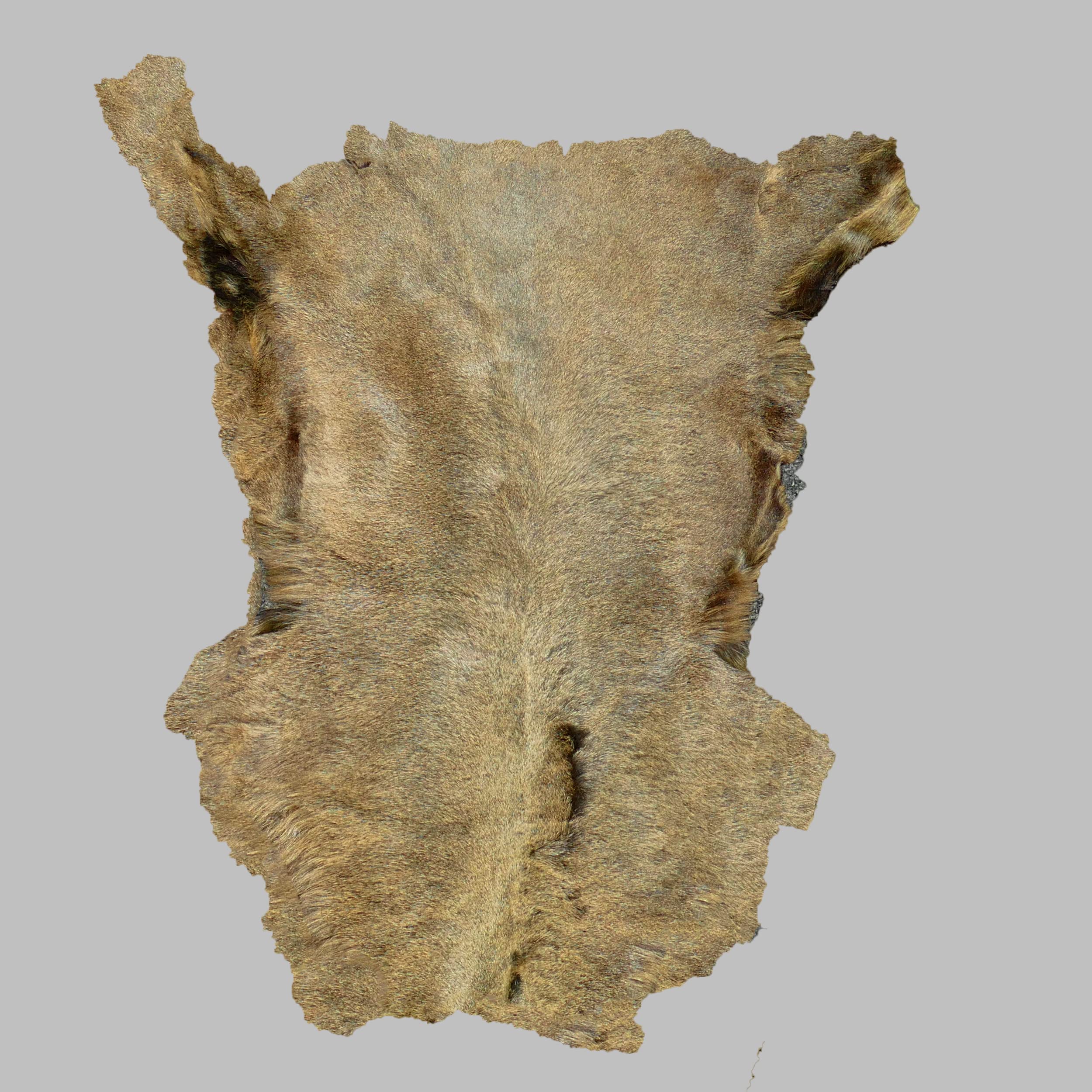 Glacier Wear Sheared Tuscan Lamb - Moss Brown (2-3 sq.ft.)