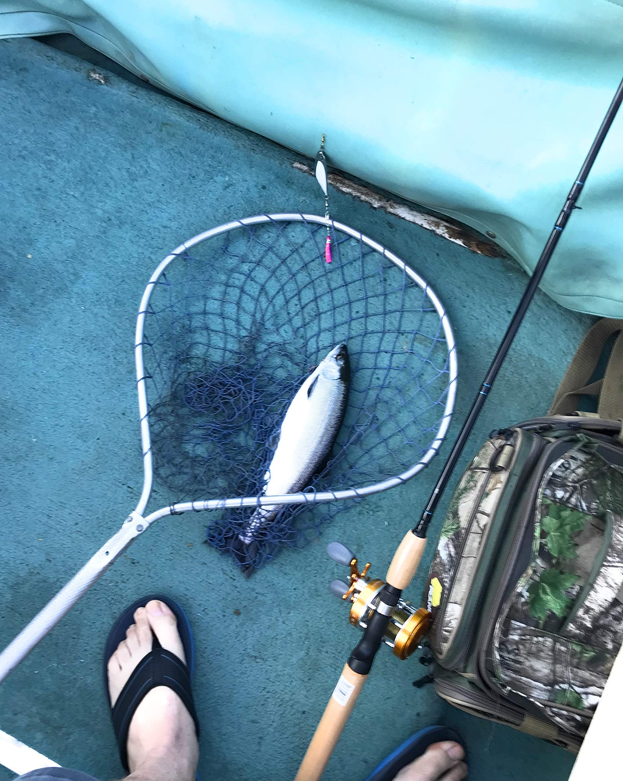 Kokanee Dodger: Flo White/Nickel