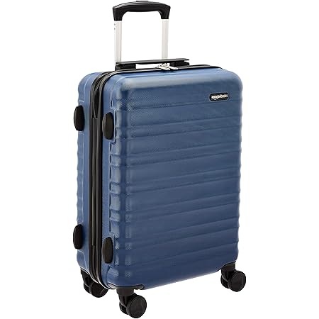 amazon basic carry on luggage