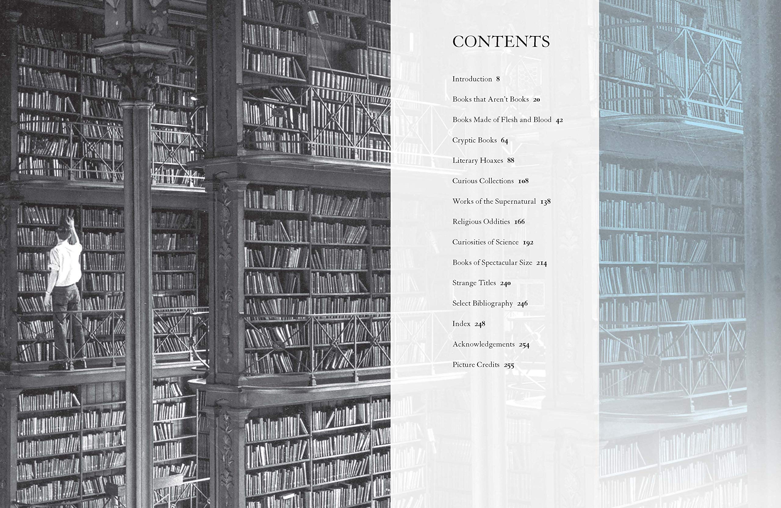 The Madman's Library: The Strangest Books, Manuscripts and Other Literary Curiosities from History - Image 5