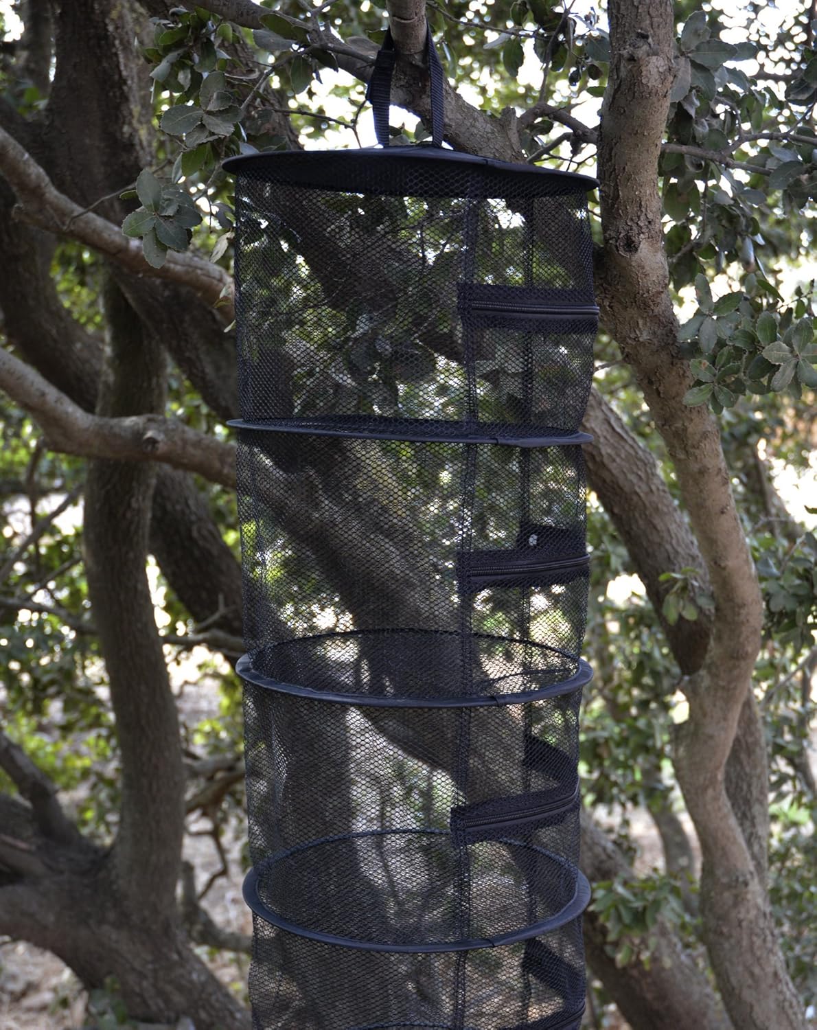 12" Diameter Drying Rack 4 Level Compact Hanging Plant Dry Net (no Twisting) - Black Mesh Screen w/ Zipper for Each Level - Indoor & Outdoor Use in Closets, Grow Tents, Apartments, Small Spaces