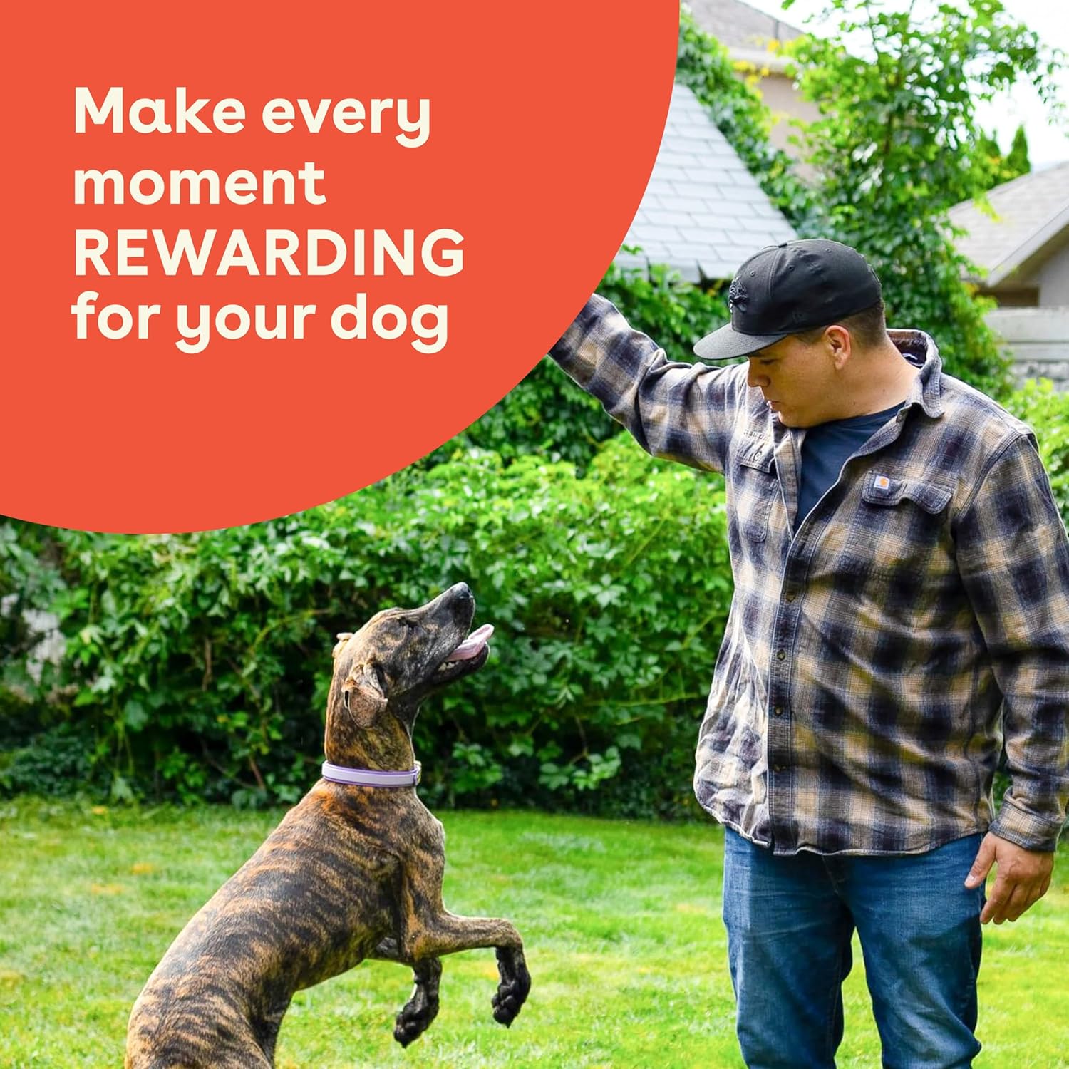 Pupford Crunchies, All-Natural, Healthy, Freeze Dried Treat for Dogs & Puppies (Chicken & Sweet Potato, 8 oz) (Pack of 2)