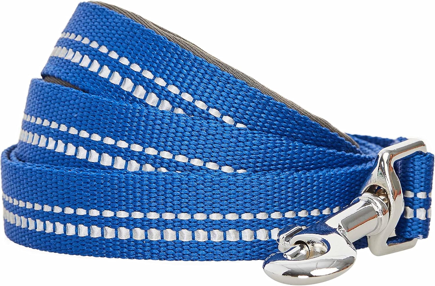 blueberry dog leash