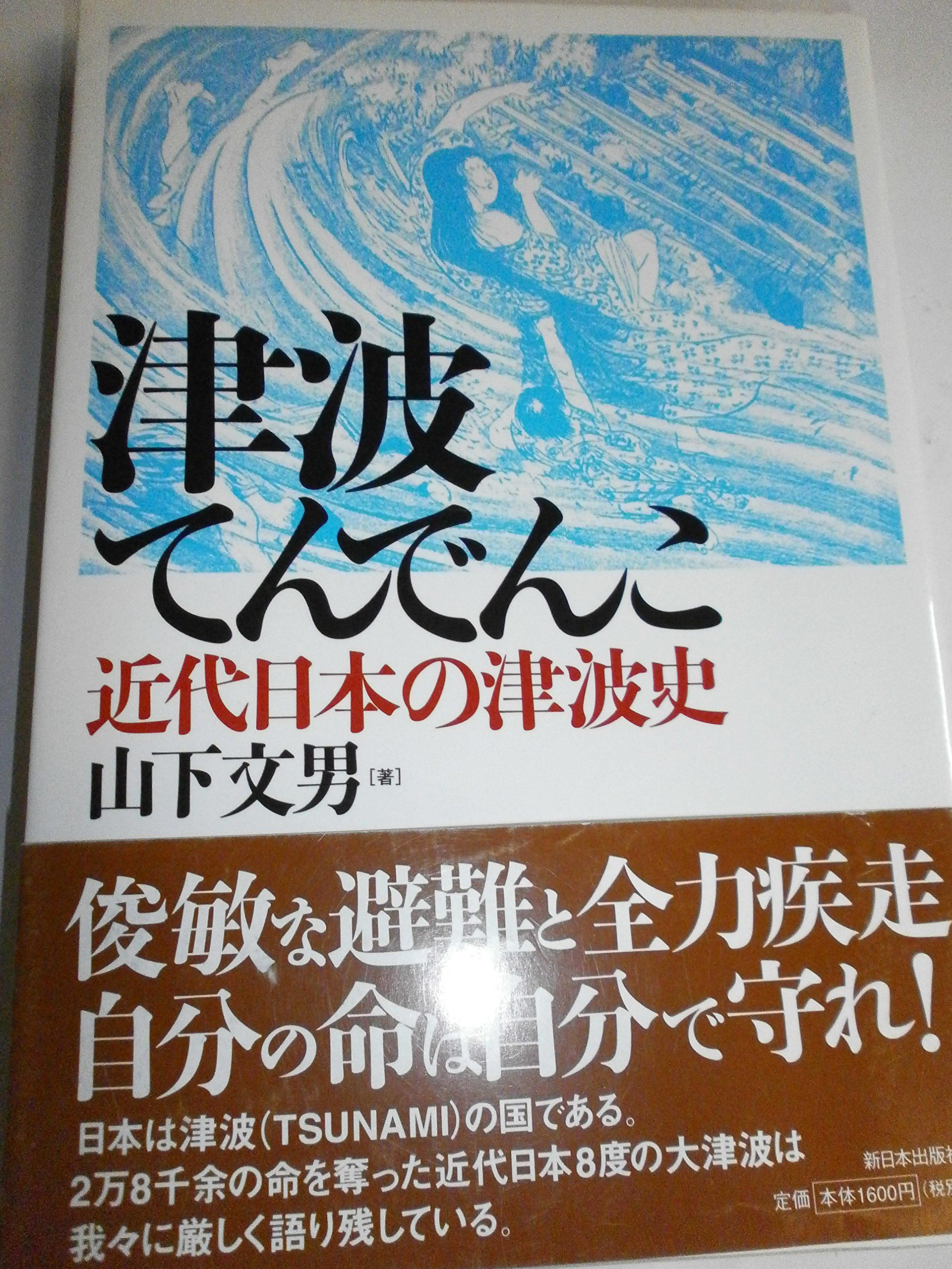 津波 てん でんこ