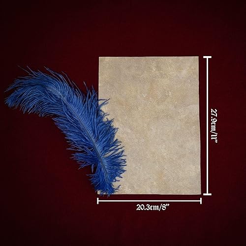 Miniatura 2 de Pergamino natural medieval renacentista (8 x 11 pulgadas) (juego de 25 piezas)