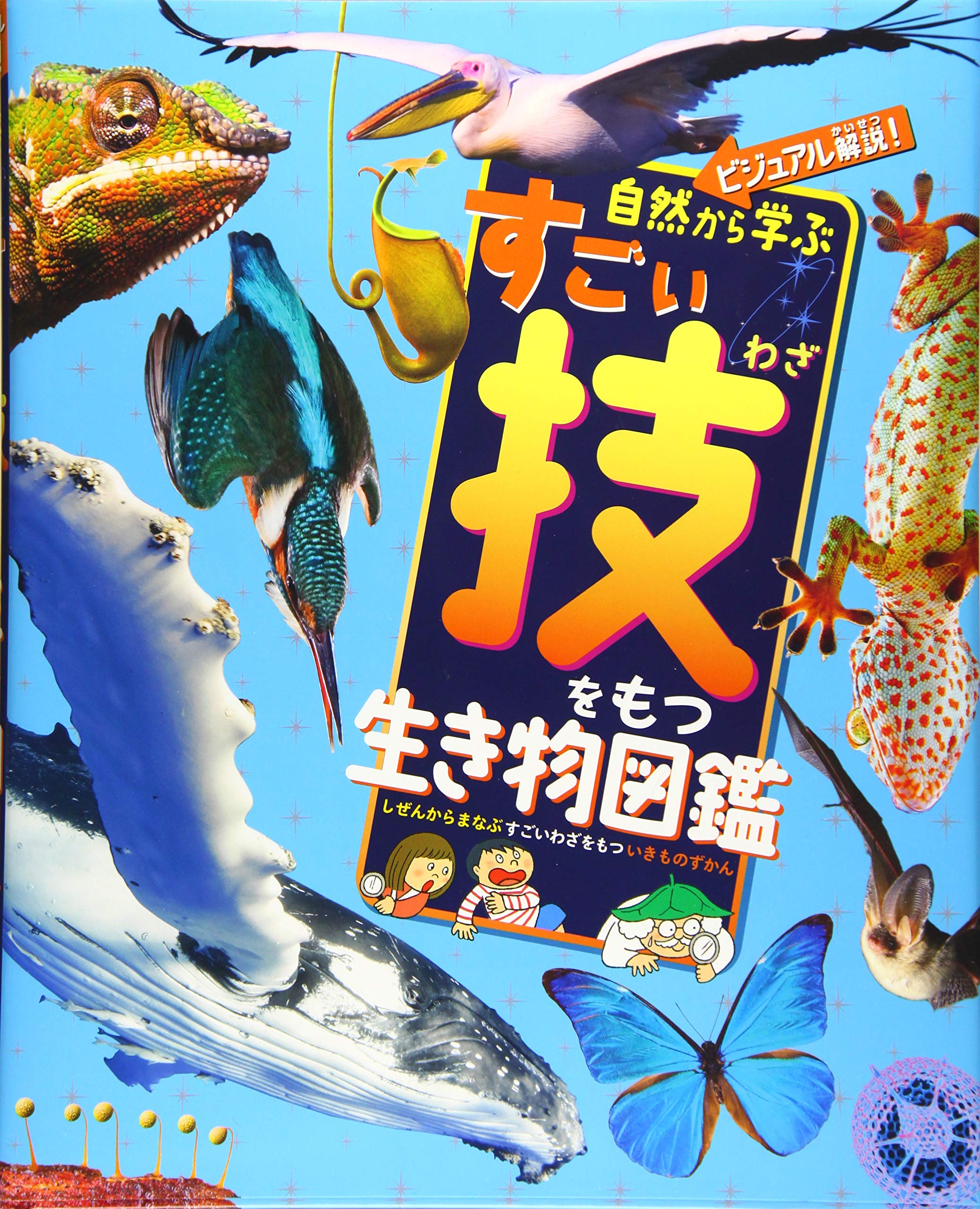 絵本セット 自然の生き物たち 15冊 自然 | MENDEL BOOKSTORE 絵本と自然