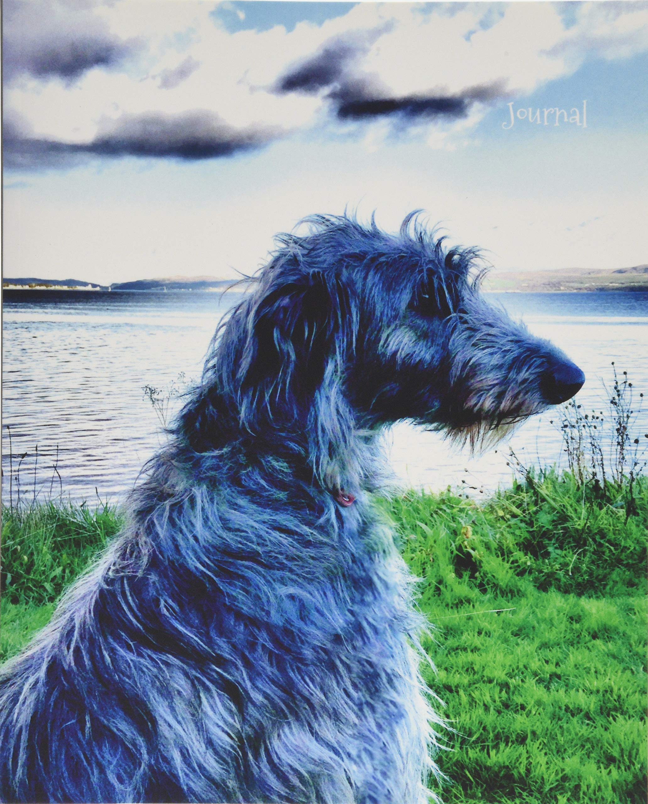 Journal: Scottish Deerhound looking out to sea