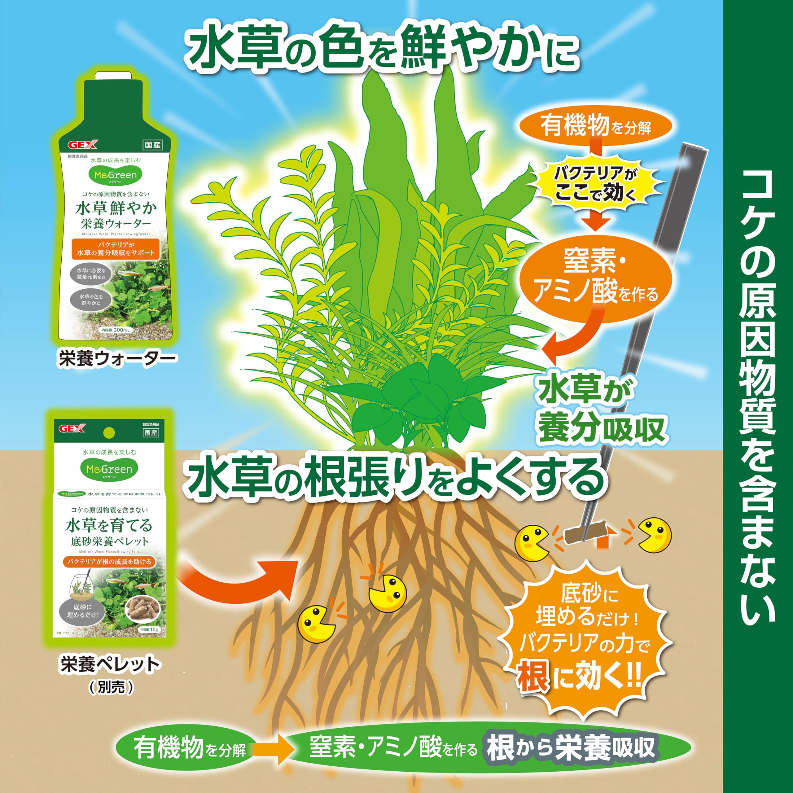 Amazon | GEX MeGreen 水草鮮やか栄養ウォーター 300mL バクテリアが  
