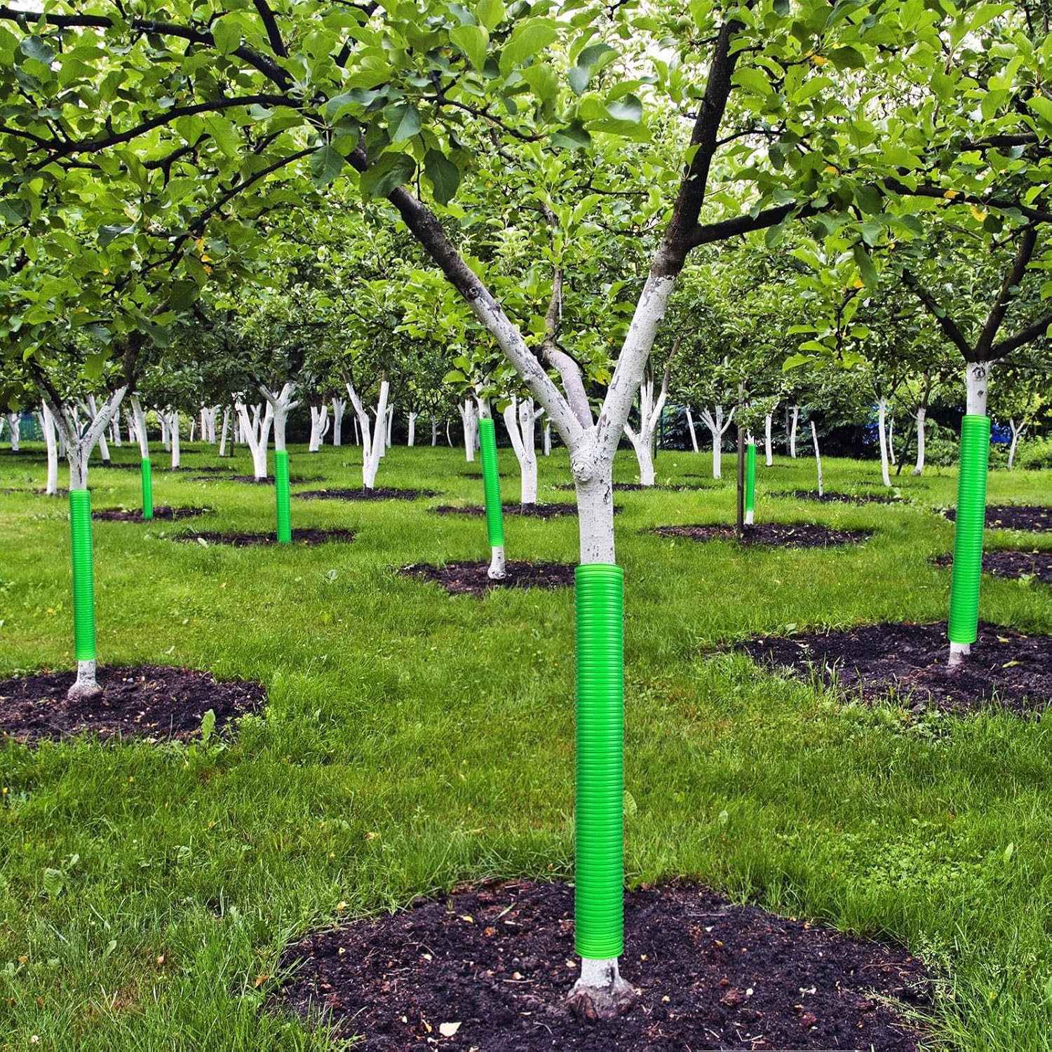 Menkxi 20 Pcs Corrugated Tree Guards Tubes Plastic Saplings Tree Trunk Protectors Wraps to Protect Bark from Deer, Sapling from Rodents, Mowers, Animals(15.7 x 2, 15.7 x 1.5)