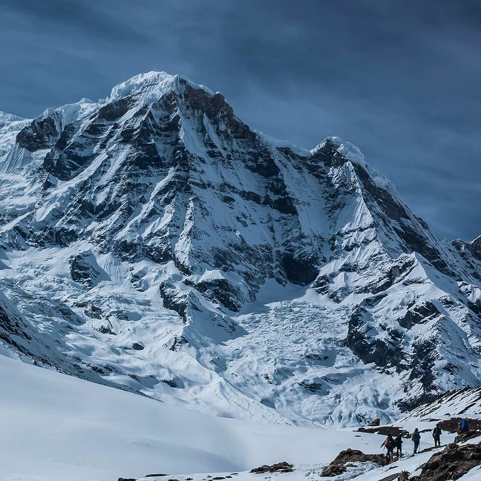 Suchergebnis auf Amazon.de für Garotte