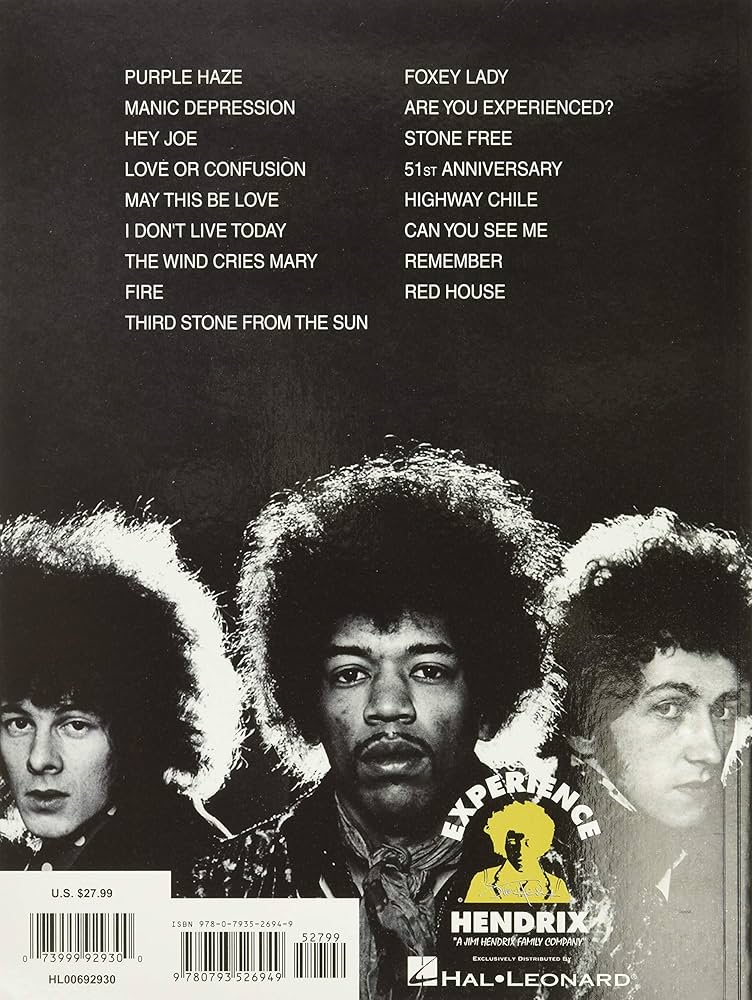 The Jimi Hendrix Experience: Are You Experienced | Amazon.com.br
