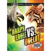 Harpy Eagle vs. Ocelot Animal Battles