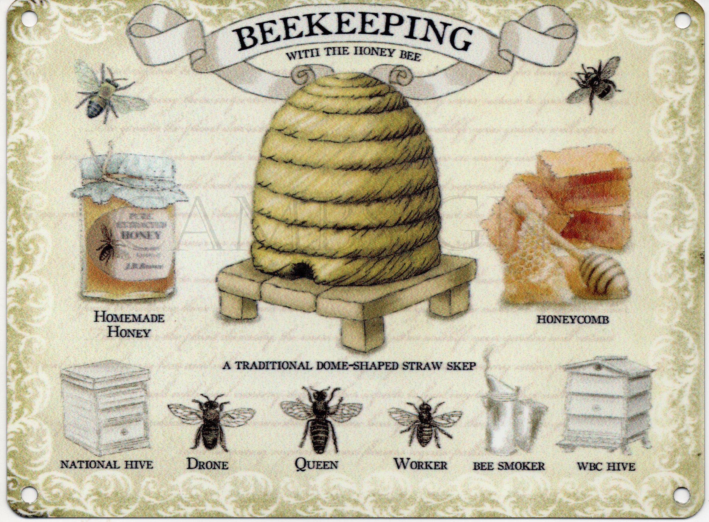 Original Metal Signs Beekeeping Large Metal Sign, 40cm x 30cm