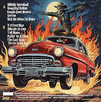 Amazon.com: Hillbilly Speedball: CDs & Vinyl