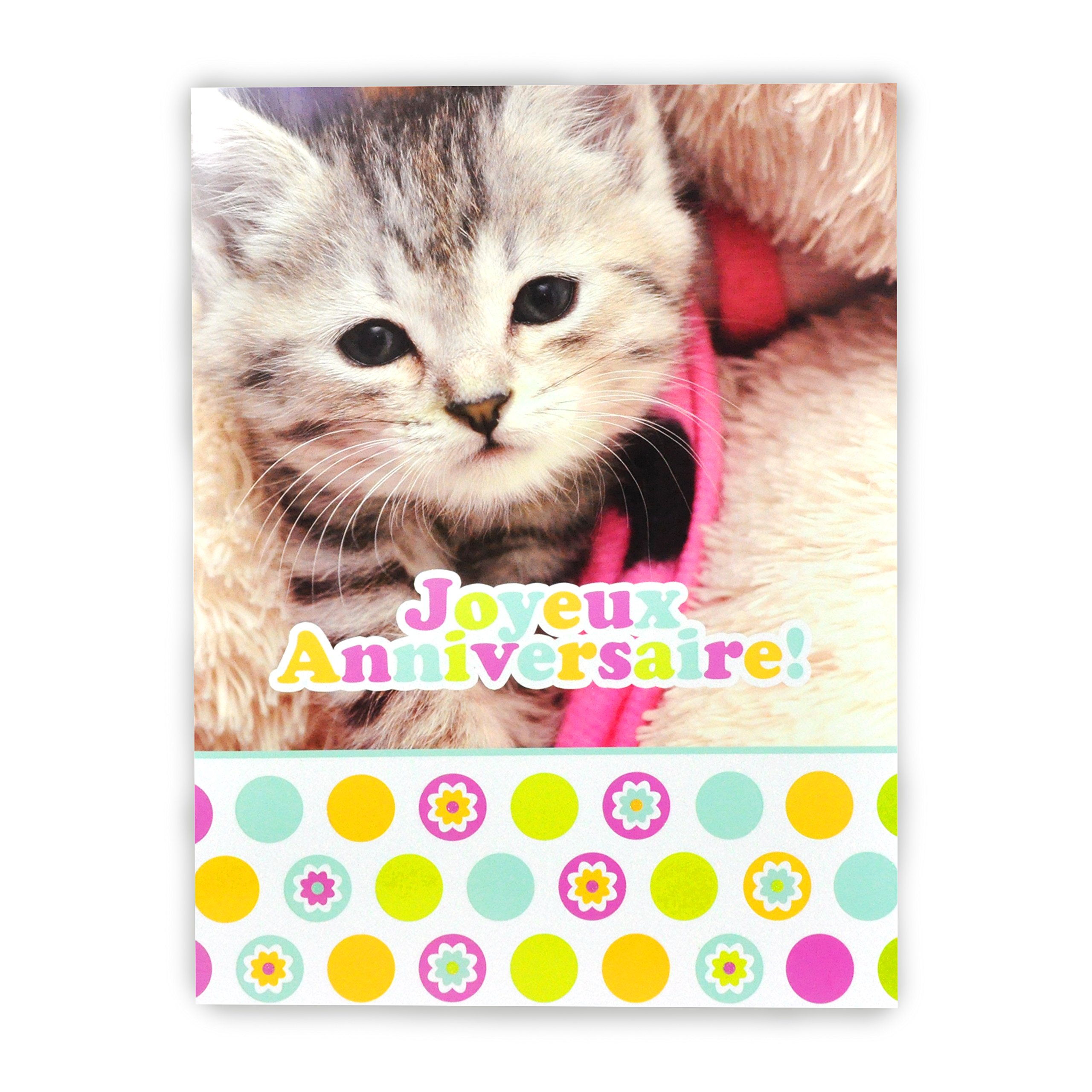 Afie mx-3003 Large Maxi A4 Happy Birthday Card – Cute Cat Kitten Feline Pet