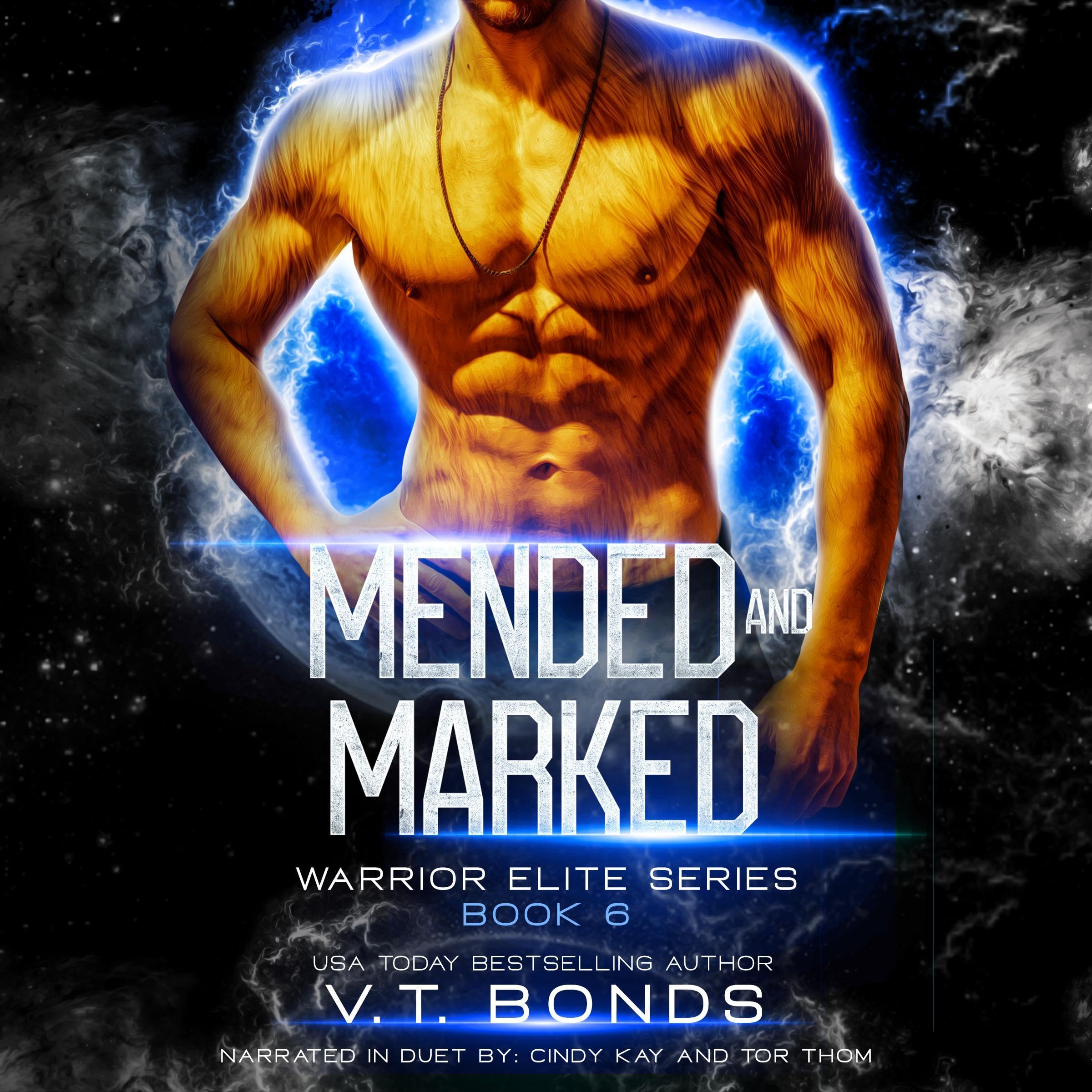 Cover art for Mended and Marked